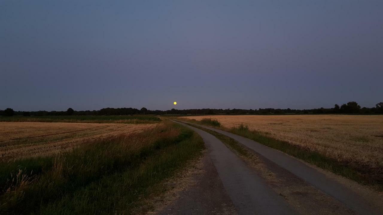 Ferienwohnung Utkiek Aurich Esterno foto