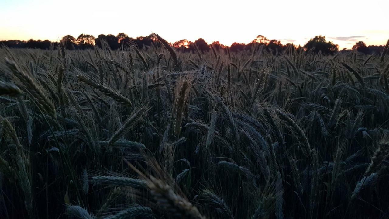 Ferienwohnung Utkiek Aurich Esterno foto