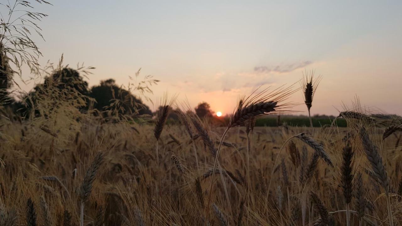 Ferienwohnung Utkiek Aurich Esterno foto